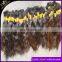 8A1KG Russian Virgin Hair Straight Human Hair Bulk No Weft Bulk For Braiding Peerless Virgin Hair Natural Brown Color