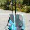 Easy Transport Outdoor Pet Carrier With Wheels Pet Travel Carrier Stroller
