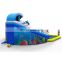 Tropical Theme Amusement Playground Sea Dolphin Palm Tree Inflatable Water Slide Aqua Park with Swimming Pool