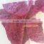 Dried Dragon Fruit From Vietnam/ Organic Dragon Fruit