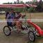 Top quality surrey bike fahrrad in China