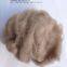 Dehiared cashmere fibre Mongolia brown cashmere 16.5mic  38mm