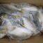 Good Golden Pompano, Golden Pomfret, Golden Pompano 300-400g/400-600g/500-600g/800+