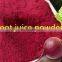 Sciyu supply color food red Beet Root extract powder