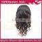 2015 Qingdao Elegant high quality full lace kinky curly brazilian wig on sale