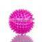 Promotion gift LED pet dog ball