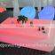 PE Plastic LED Bar Table With Remote 16049F