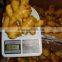 2015 best quality of the ginger with good price