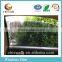 2016 2mil Transparent Safety Film For Building Or Car