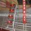High quality galvanized layer chicken cage with drinking system