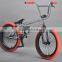 20 inch bmx bike / aluminum alloy bike frames