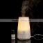 LED Light Mini Ultrasonic Fogger