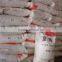 PP / Polypropylene / Virgin &recycled PP granule / PP plastic raw material                        
                                                Quality Choice