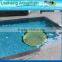 clear acrylic swimming pool