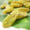 hot sell dried sultana raisin seedless grape