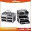 Professional New Fashion 2 In 1 Professional Cosmetic Trolley Case