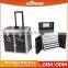 Hot Recommend Trolley Cosmetic Professional Cosmetic Trolley
