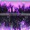BLACK wire IP68 DC12V input 12mm through-hole LED RGB dump node;100pcs a string