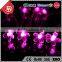 TZFEITIAN CE ROHS approval low voltage season flower mini led string light