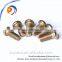 Round Phillips Head Screws