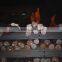 Hot Rolled Deformed steel bar