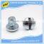 China manufacturer nonstandard threaded slotted phillips screw