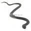 montessori teaching Snake sets