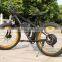 high quality fat tire 750w electric bike