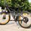48v/11.6ah Li-ion Battery 750w Electric Bicycle
