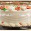 Cakesupplyshop Packaged 10inch Round Double Layer Cake Plastic Carry Container Display Box with Lid (Dome and Base) 25pack