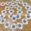 2017 wedding dress DOUBLE COLOR embroidery crocheted lace