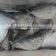 Frozen Whole Round Moon Fish, Frozen Fishes, Best Quality Frozen Fishes