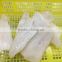 Frozen alaska pollock fish fillet for thailand from china seafood exporter