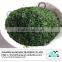 Food Grade Ulva Lactuca seaweed