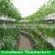 Hydroponics system /vertical aquaponics setup