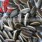 Black Sunflower Seeds from Inner Mongolia