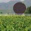 Agrolink trace element TE granular Fertilizer