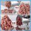 Compact Structure Widely Used in European Automatic Stainless Steel Hand Operated Meat Mincer Machine