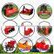 32CM Planting Space 30HP Small Tractor Garlic Planter
