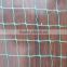 plant climbing support netting Plastic Netting&reinforced plastic wire mesh