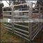 Sliver popular high quanlity strong pvc sheep fence panels