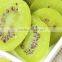 25-30 kg Low Temperature Fruit Chips Hot Air Circulating Oven With Good Quality