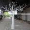 Q012708 Manufacturer Dry Tree for Decoration Table Centerpiece Tree Decoration Artificial Dry Tree