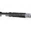 6061 Aluminum , long EVA handle, Trekking Pole, walking stick cane, quick internal lock SZ15501