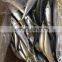 2016 landing sea frozen mackerel 300-500g