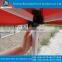 Manufacturer Price Steel Tent Sholesale Super Hard 10*10easy Tent