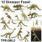Magic Mini Dinosaur Fossil Toys for Kids