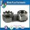 Made in Taiwan Black Oxide Plated Steel Stainless Steel Zinc Finish Steel Keps K Lock Nut