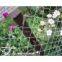 pvc chain link fence factory