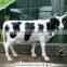 KAWAH Life Size Sculpture Fiberglass Cow Statue